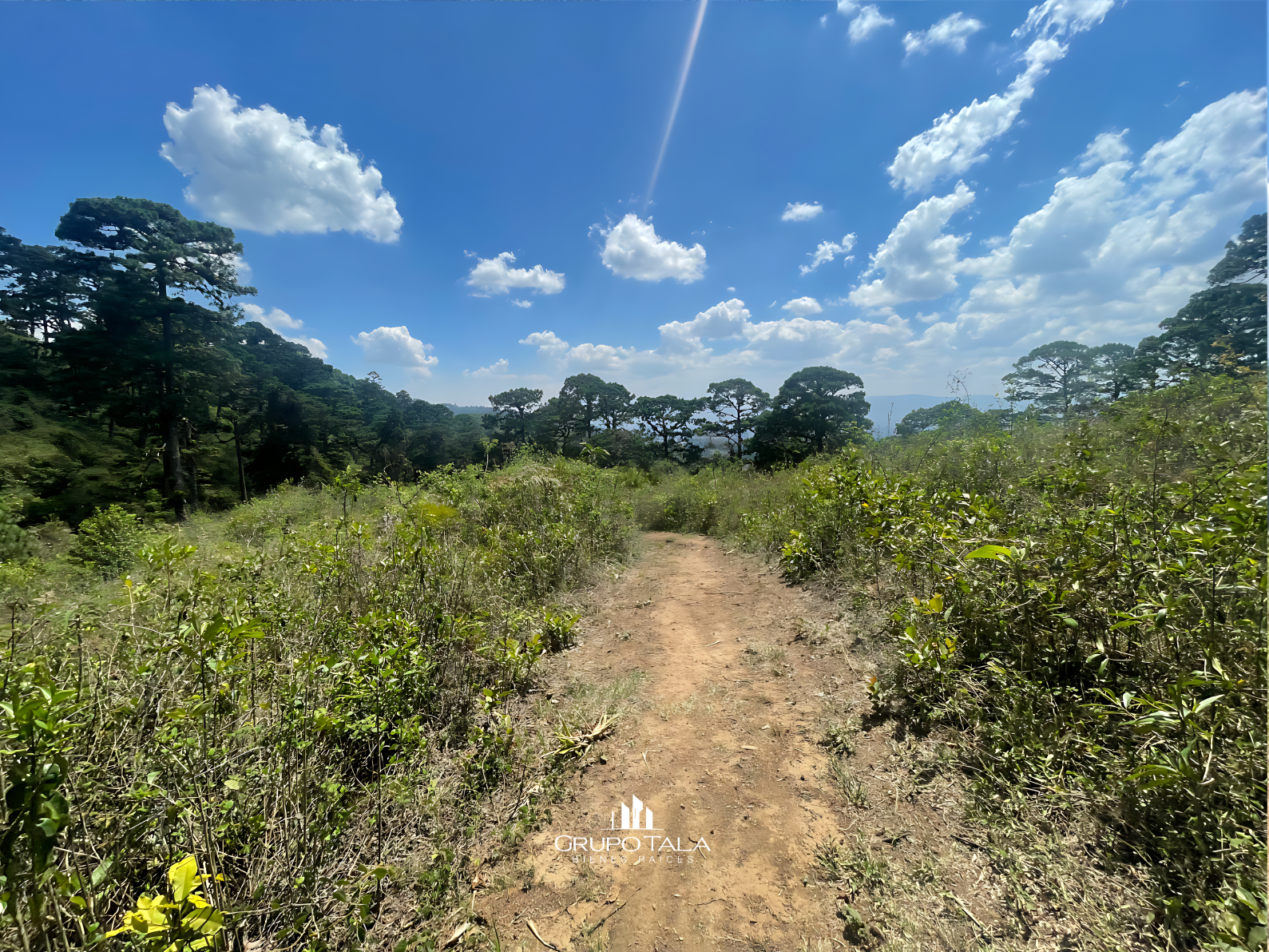 Terreno en venta en zona 16, Vista Hermosa IV - Miniatura 5