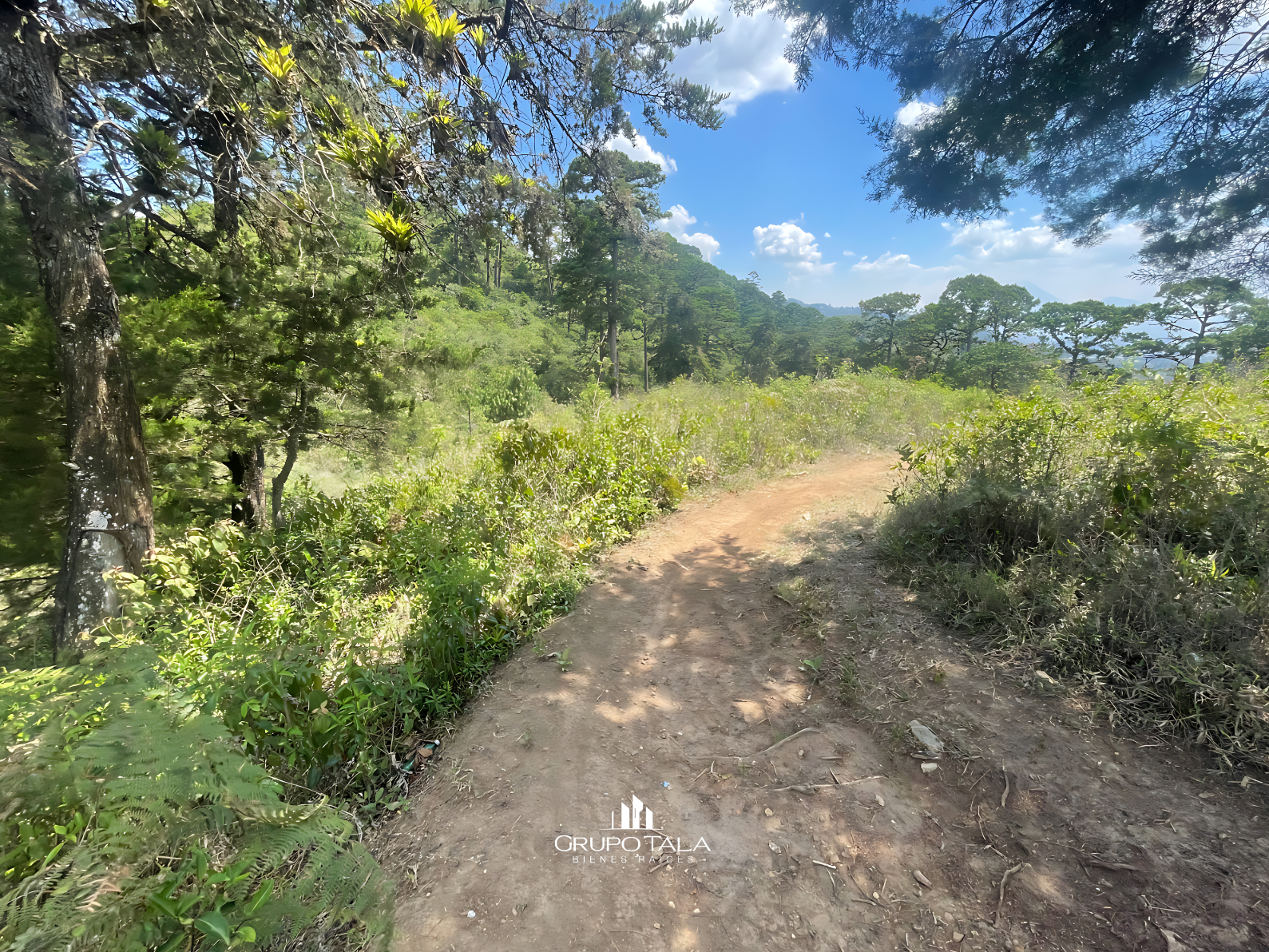 Terreno en venta en zona 16, Vista Hermosa IV - Miniatura 4