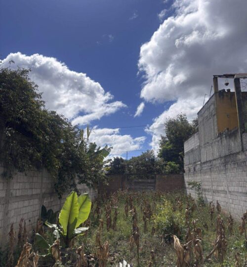 Terreno en Renta Villas de San José