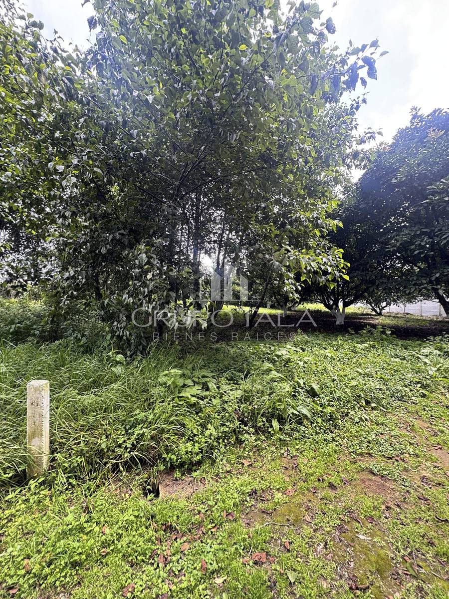 Terreno en venta Santiago Sacatepéquez - Image 2
