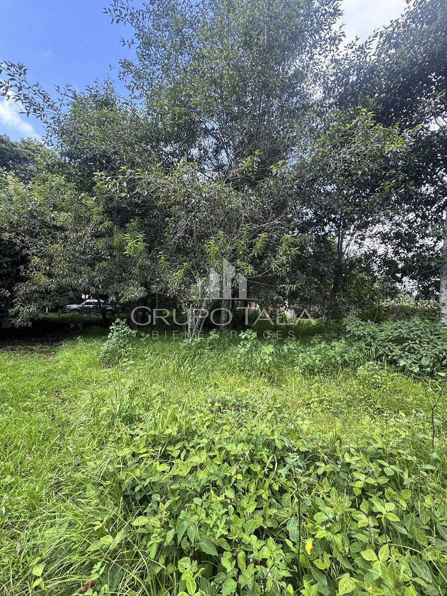 Terreno en venta Santiago Sacatepéquez - Image 4