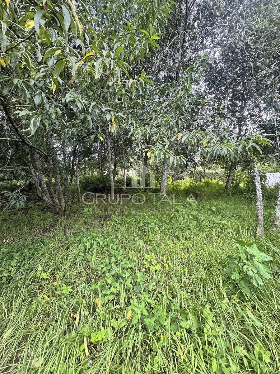 Terreno en venta Santiago Sacatepéquez - Miniatura 6