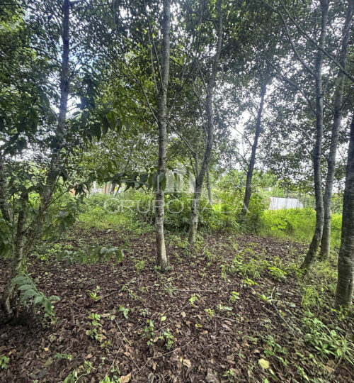 Terreno en venta Santiago Sacatepéquez