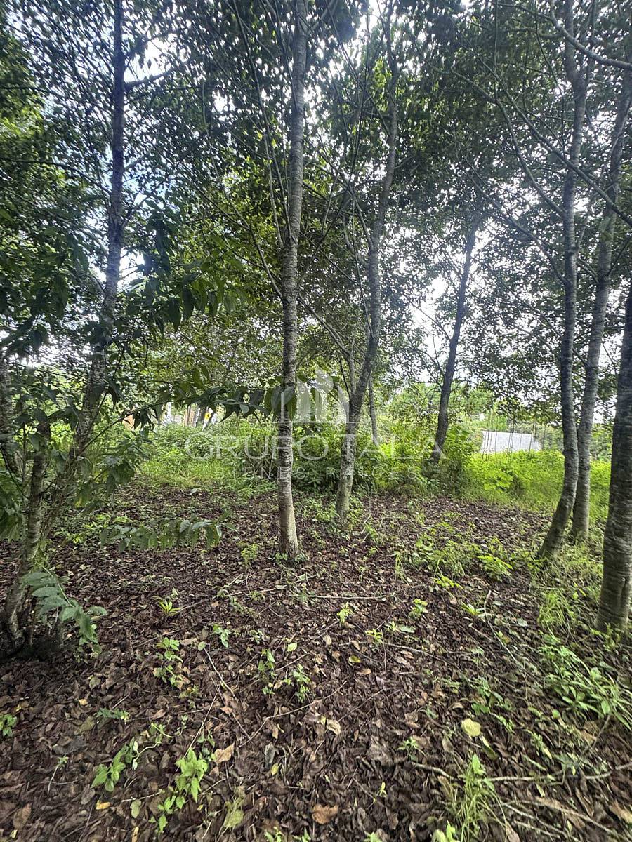 Terreno en venta Santiago Sacatepéquez - Image 1