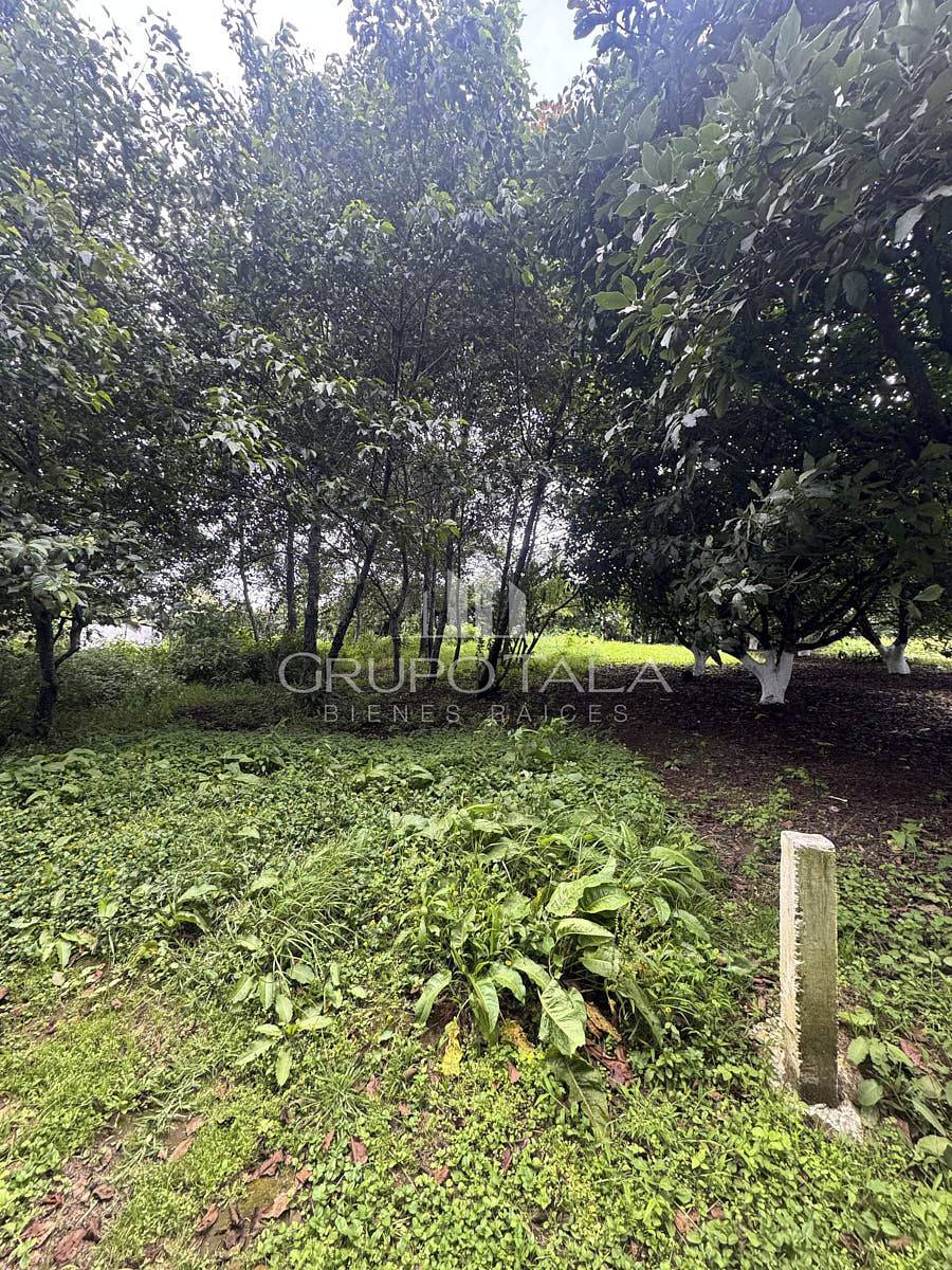 Terreno en venta Santiago Sacatepéquez - Miniatura 7