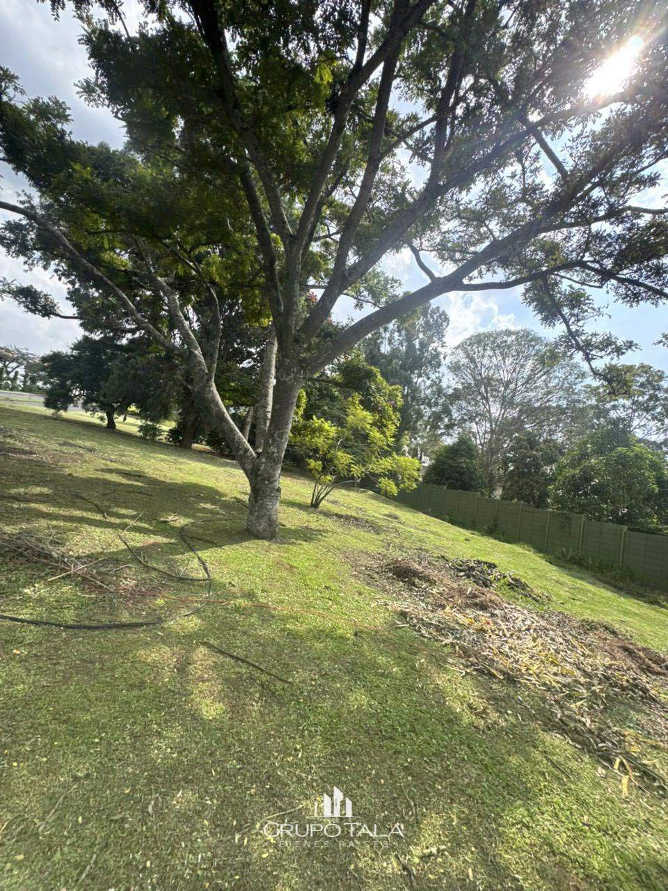 Terreno en Venta en Santa Delfina Antigua Guatemala - Miniatura 7